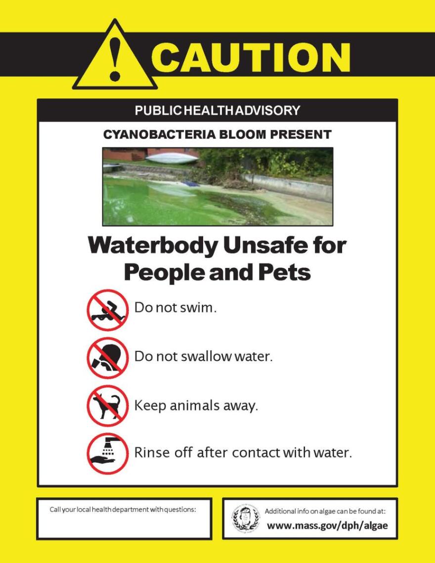 The town of Mashpee issued a cyanobacteria advisory for Mashpee-Wakeby Pond on June 12, 2023.