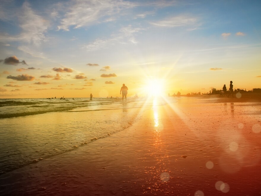 group of silhouetted people on public beach over orange colored sunset sky in Siesta Key, Sarasota, Florida