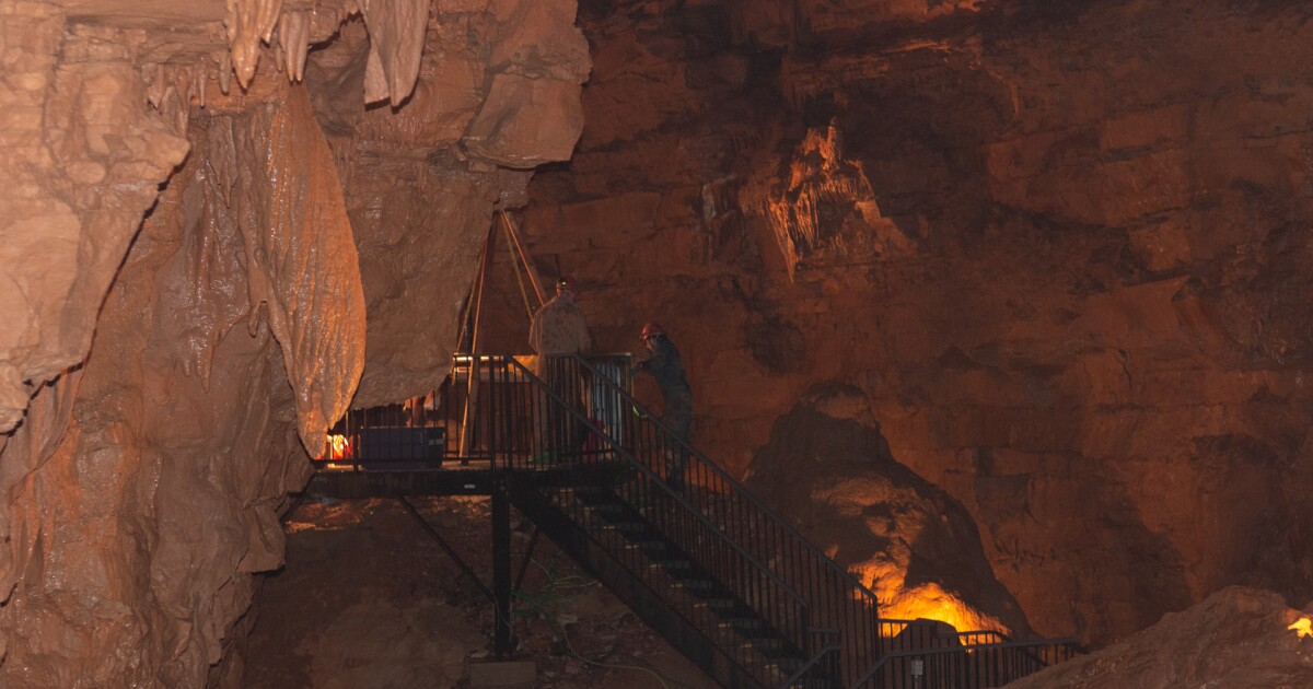 Dig This Paleontologists Are Excavating Indiana's 'Big Bone Mountain'