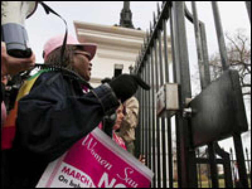 Elaine Johnson, whose son was killed in Iraq, joins anti-war demonstrators outside the White House.