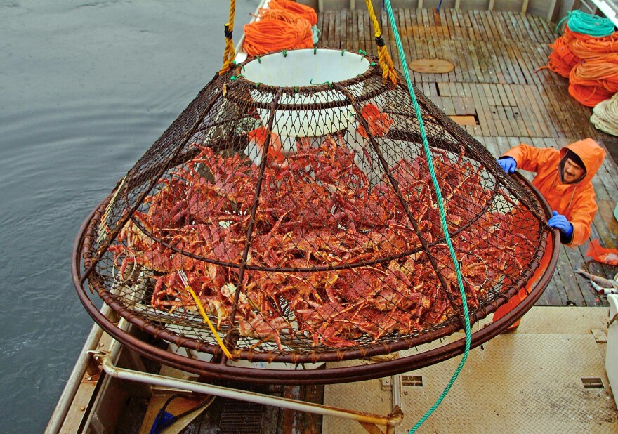 A massive cone-shaped crab pot full of red crabs is lifted aboard a ship.