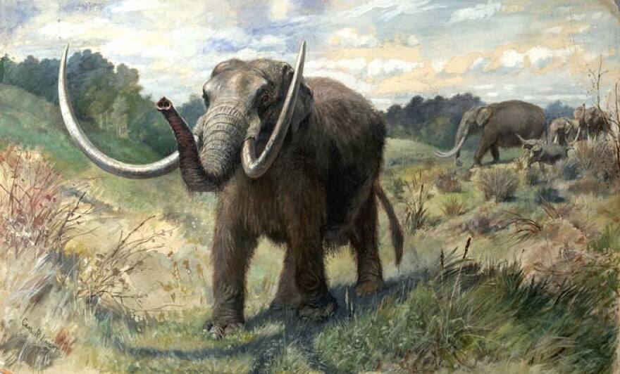 Artist's rendering of an American mastadon.