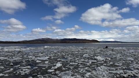 The Kuskokwim River breaks up in front of Aniak amid high water and an active flood warning for the community on May 8, 2026.