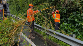 Honolulu crew clearing downed and leaning trees on Pali Highway Kailua-bound Monday morning. (Sept. 7, 2026)