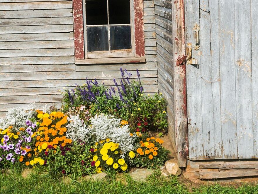 The winter temperatures seem to have finally abated, so it's time to get planting with help from gardening expert Charlie Nardozzi.