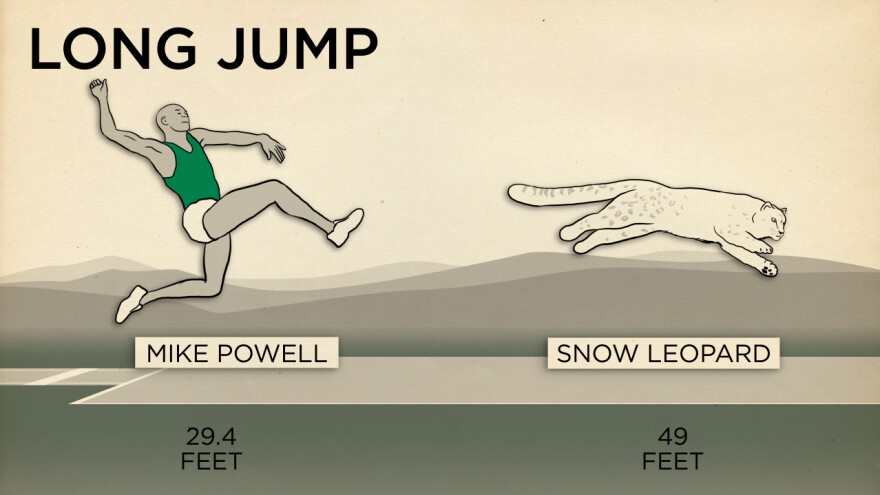 Humans aren't very good at jumping.