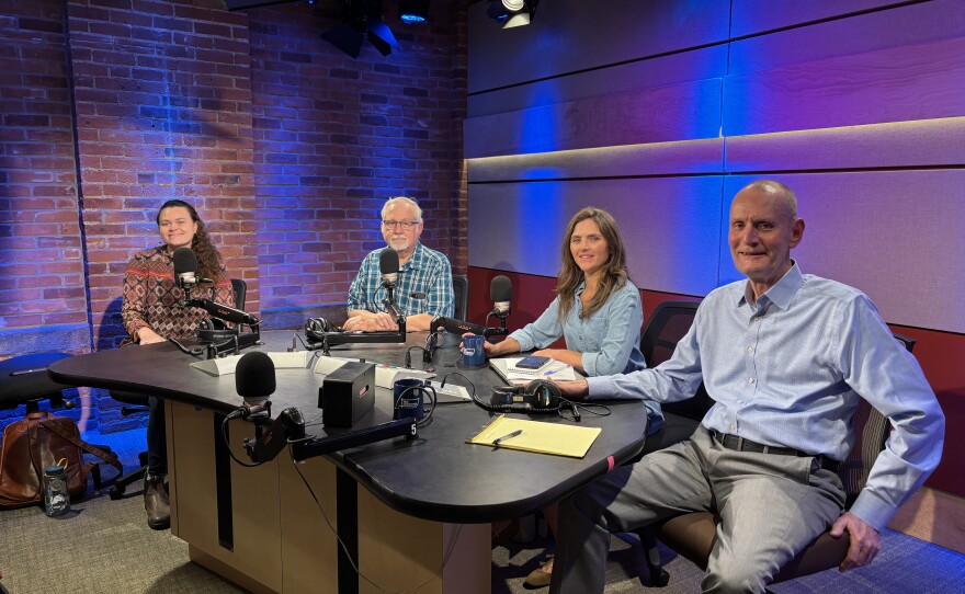 Today's panel for The Rundown includes G. Michael Dobbs, host at Focus Springfield; Greta Jochem, investigations editor at The Springfield Republican; and reporter emeritus Paul Tuthill.