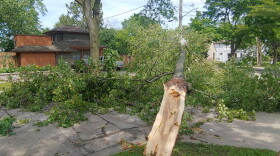 Prior to a Thursday news conference held by WE Energies, a large tree limb blocked Vienna Ave., in Milwaukee's Riverwest neighborhood.