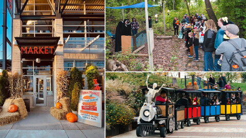 (Clockwise from left) Harvest Festival at the Milwaukee Public Market, MKE Rec's Halloween Glen and the Pumpkin Party at Davidson Park.