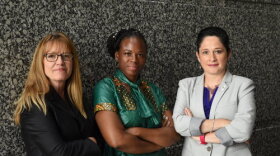 Panel Members: State Senator Melinda Bush, State Representative Carol Ammons, Illinois Comptroller Susana A. Mendoza