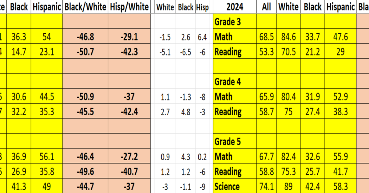 What policy analysts say about significant test score disparities between Black and White students What policy analysts say about significant test score disparities between Black and White students