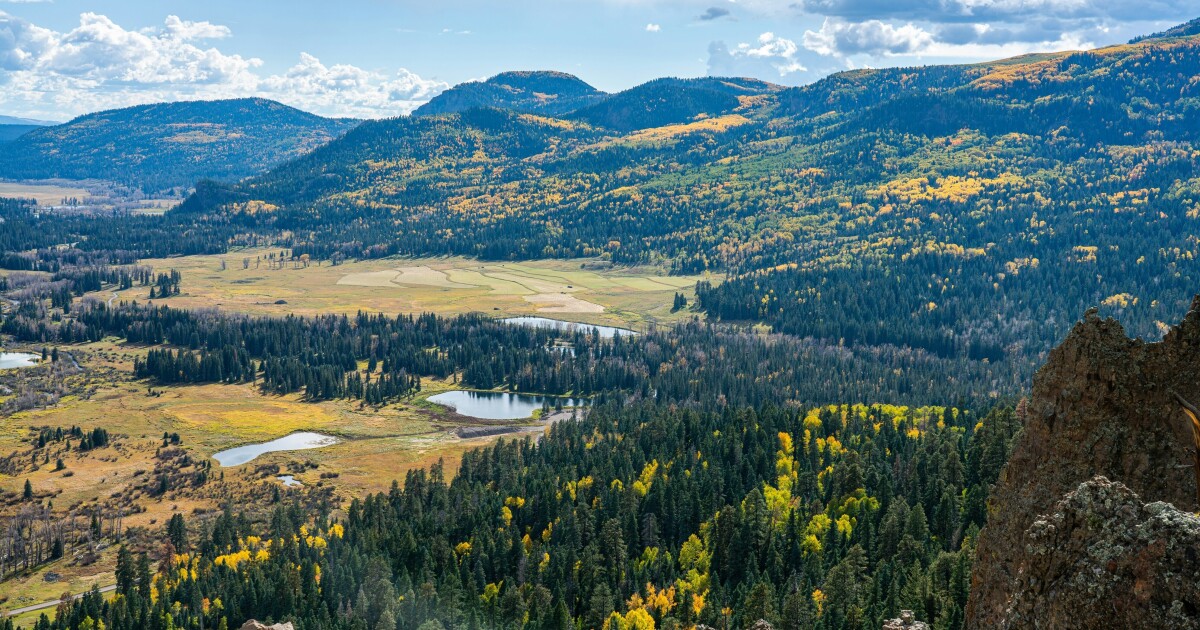 Opinion - Dismantling the U.S. Forest Service harms public lands and communities