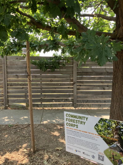 A heat sensor collects weather data in a Boise neighborhood.