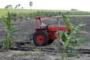 A farmer prepares a field for his banana crop, Thursday, Oct. 19, 2017, on the south side of Lake Okeechobee, near Lake Harbor, Fla. 