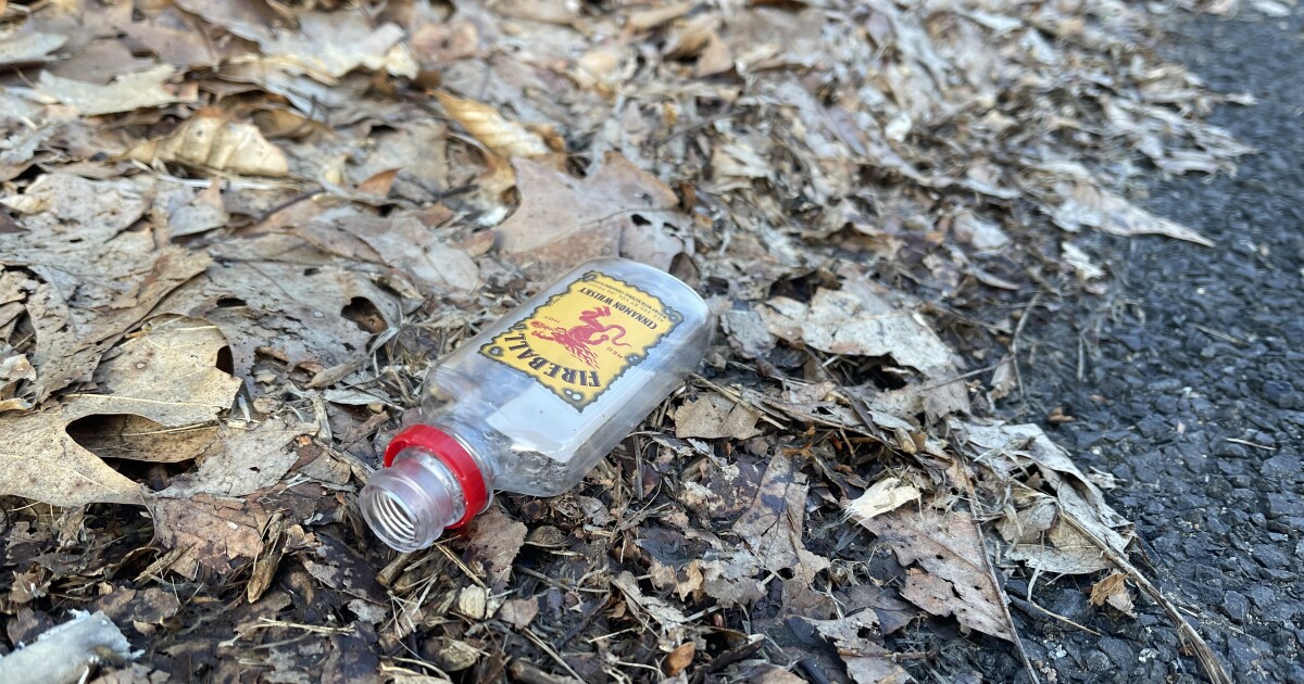 Should CT allow towns to ban nips?