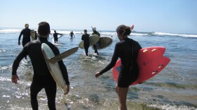 Surfers walk in the low tide waters at Pleasure Point.