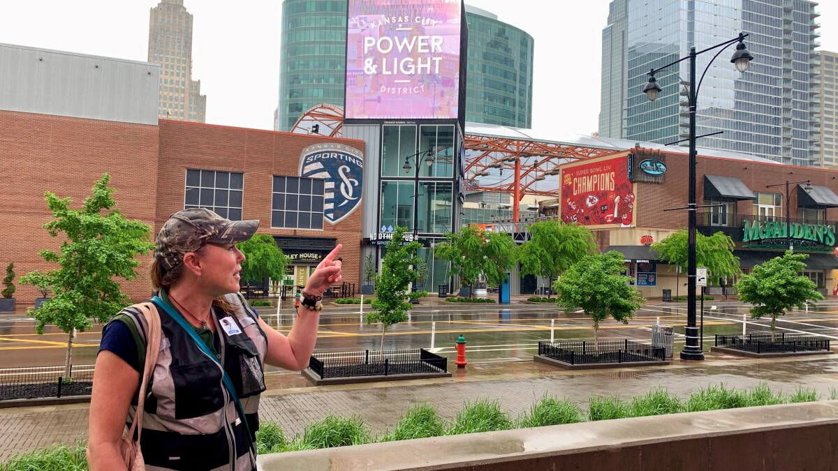 Volunteers work to protect birds in Kansas City from window strikes, by tracking where they're killed - Vimarsana News