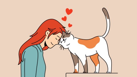 A loving cat person.