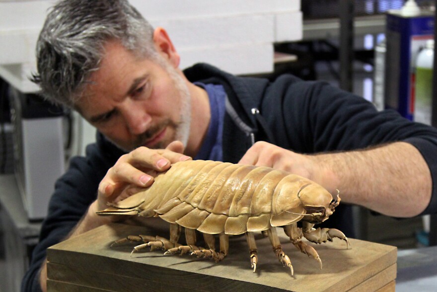 Marley works on a frozen isopod at his Oregon studio.