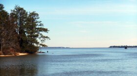 A recent study found 98% of rivers like the James are contaminated with man-made chemicals collectively known as PFAS. They are linked to many health problems in humans and do not degrade naturally in the environment.