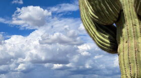 Monsoon clouds and saguaro cactus