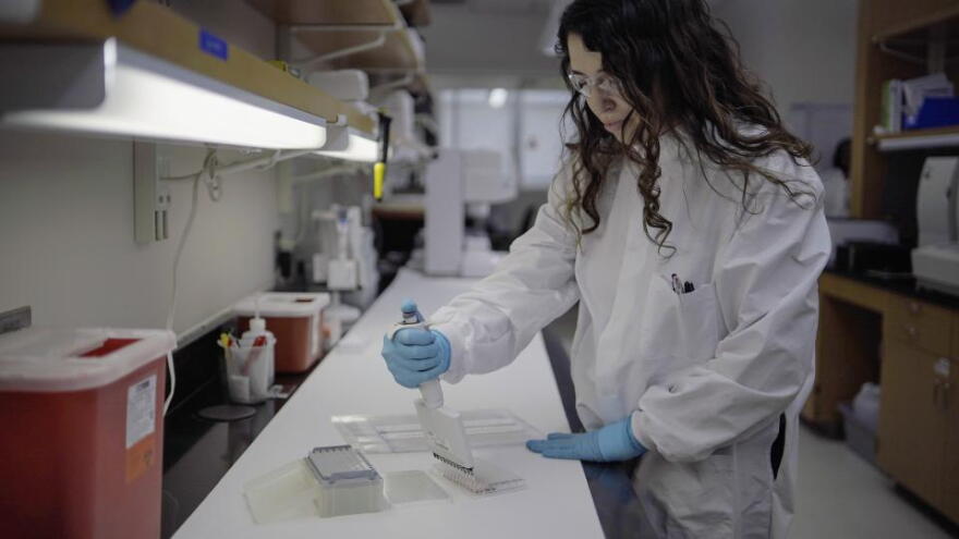 A public health scientist in the Newborn Screening Lab.