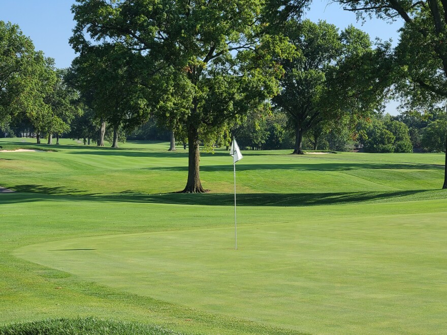 golf course putting green with flag