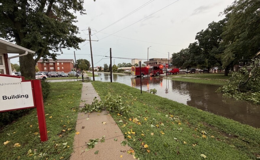 High winds and heavy rain led to downed trees, power outages and flooded streets across Bloomington-Normal.