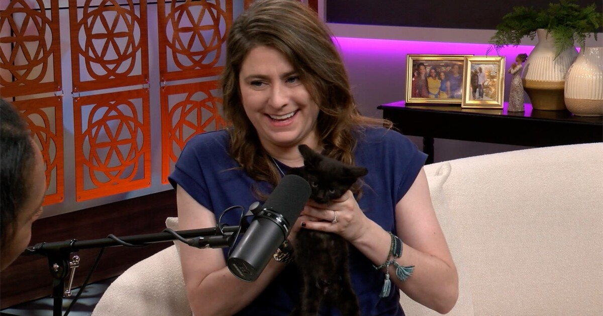 The Daily Blend w/ AC: Michelle Casey, Central Missouri Humane Society, "Kitten Season"