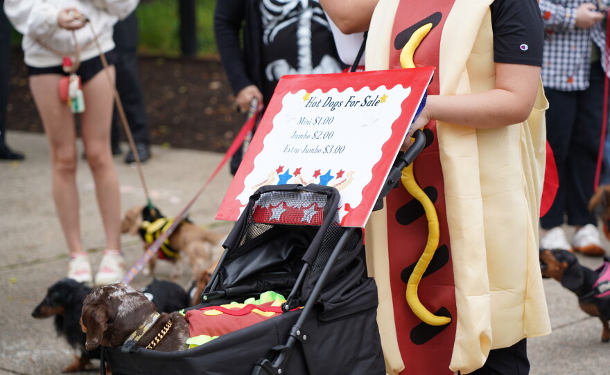 Dachshunds of Columbia held its annual "Halloweenie Walk" on Saturday, Oct. 17, 2026 in Columbia, S.C.