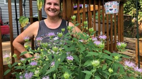A photo shows Ellen Finnerty standing behind native wildflowers she planted to feed pollinators in her neighborhood.