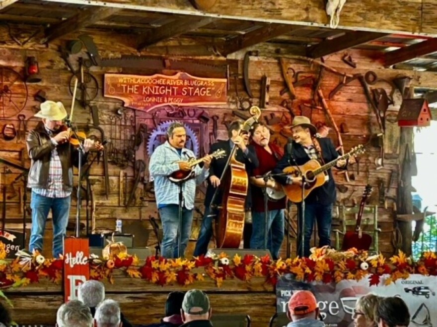 Strawberry Festival: A Bluegrass band is pictured performing with five different stringed instruments.