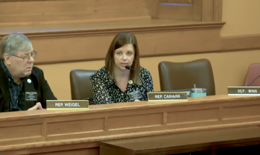 Rep. Carolyn Caiharr, an Edwardsville Republican, questioned a proponent of a bill that would allow lenders to charge a prepayment penalty to real estate investors.