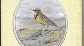Painting of Meadowlark