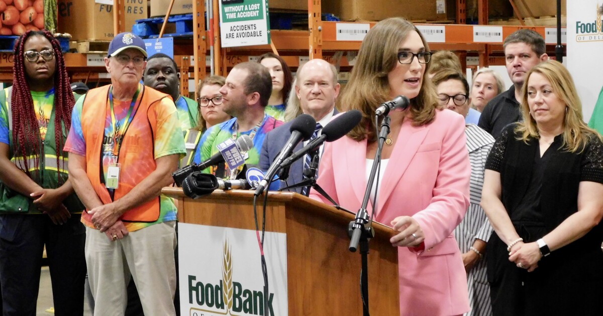 Delaware's federal delegation addresses SNAP cuts under Trump's 'Big Beautiful Bill'
