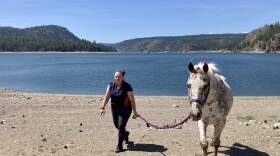 Allison Burke walks along the shore of Lake Roosevelt on the Spokane Indian Reservation with Jack, an appaloosa mustang she rescued.  (Ashley Ahearn)