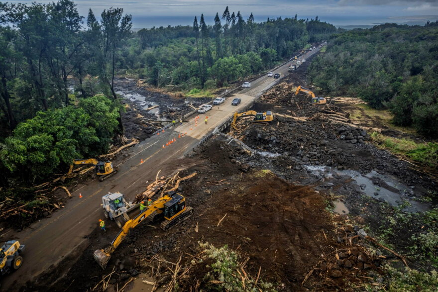 Hawaiian Macadamia Nut Company's farm after Hurricane Lala located in Pāhala, Hawaiʻi Island.