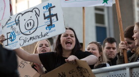 A protester in Reykjavik on April 4, 2016 holds up a sign displaying her anger with Iceland's Prime Minister Sigmundur Davíð Gunnlaugsson announced he would take a leave of absence after being linked to the Panama Papers.