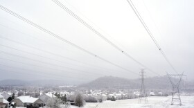 Power lines are seen during a winter storm Sunday, Jan. 25, 2026, in Nashville, Tenn.