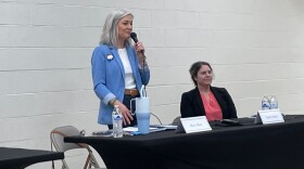 Democratic 8th District Congressional candidates Mary Allen (left) and Tabatha Zeigler (right)