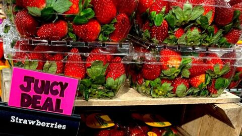 Strawberries for sale at Guido’s Fresh Marketplace in Great Barrington, MA