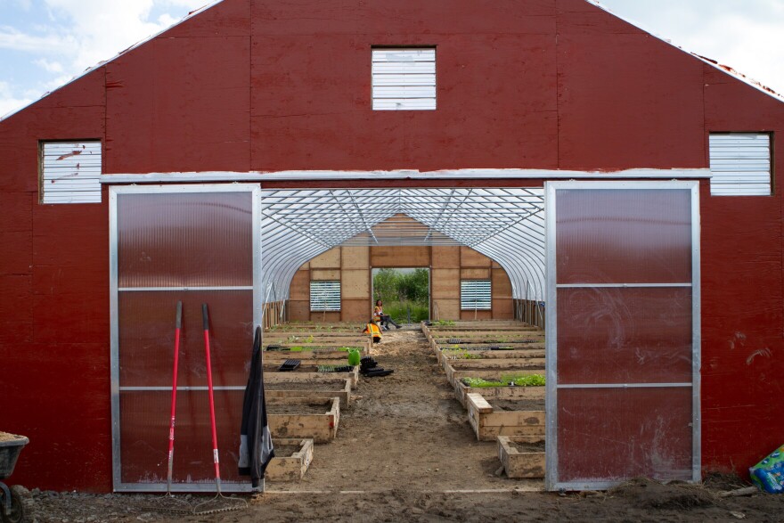 Last summer, when Schultheis realized Kwik’pak would not be able to operate as a fish plant, he built greenhouses instead.