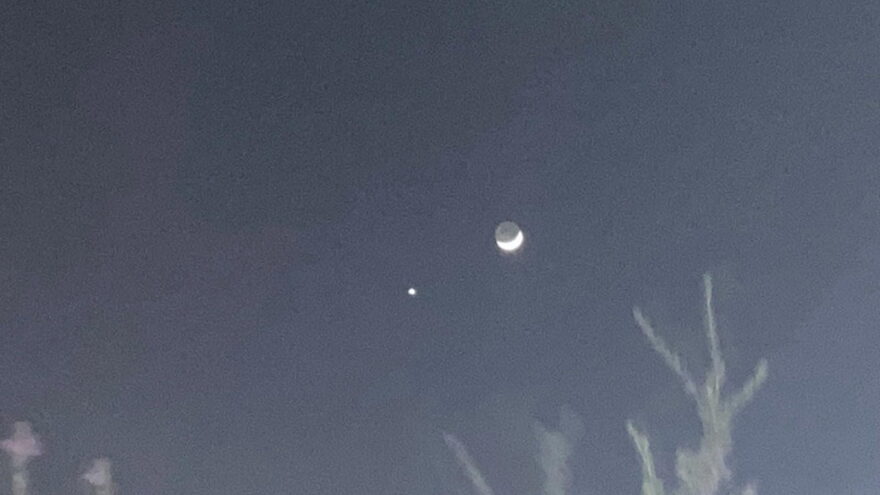 Venus Moon 