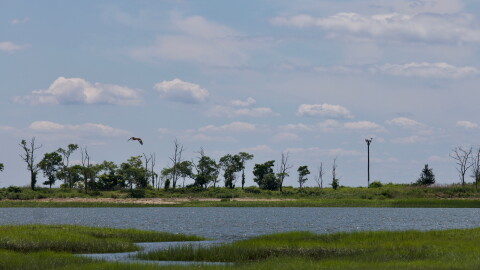 Great Marsh Meadows.