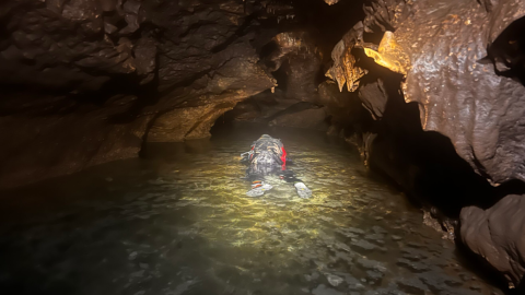 With a wet suit and goggles, paleontologist John Moretti searches for fossils in the stream that flows through Bender’s Cave.