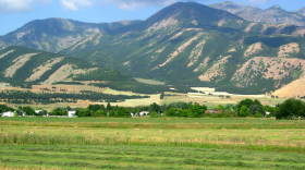 A green farm field in a mountain valley. There are some houses in the near background with green-covered mountain peaks rising up behind them.