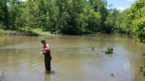 Olivia Reves sampling in-channel at Heron County Park in Vermilion County, Illinois on the North Fork Vermilion River.