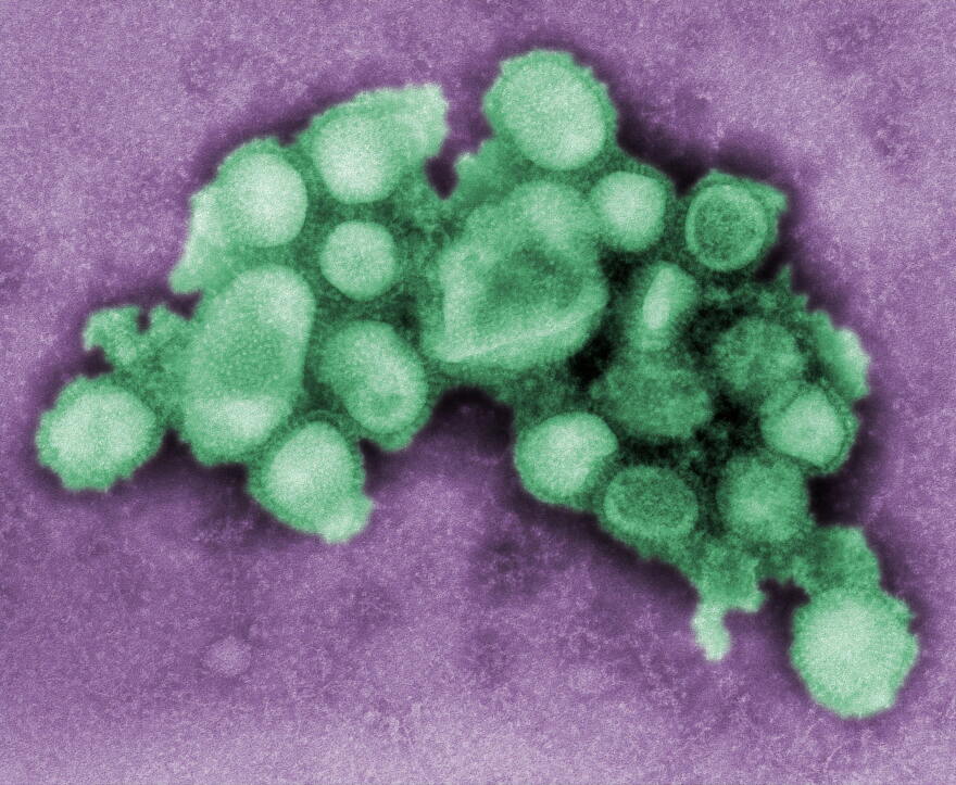 Influenza Virus