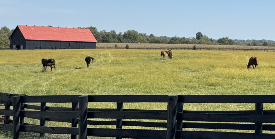 Woodford County farmland will currently be protected under new Data Center ban.