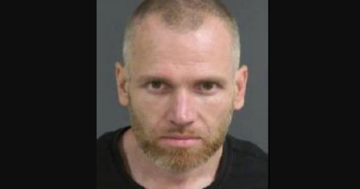 Lowcountry manhunt ends with suspect and SLED K-9 dead | South Carolina ...